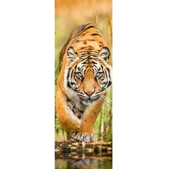Jumboposter Big Tiger Walking, Nr. 33