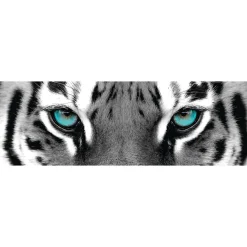 Jumboposter Blue Tiger Eyes, Nr. 16