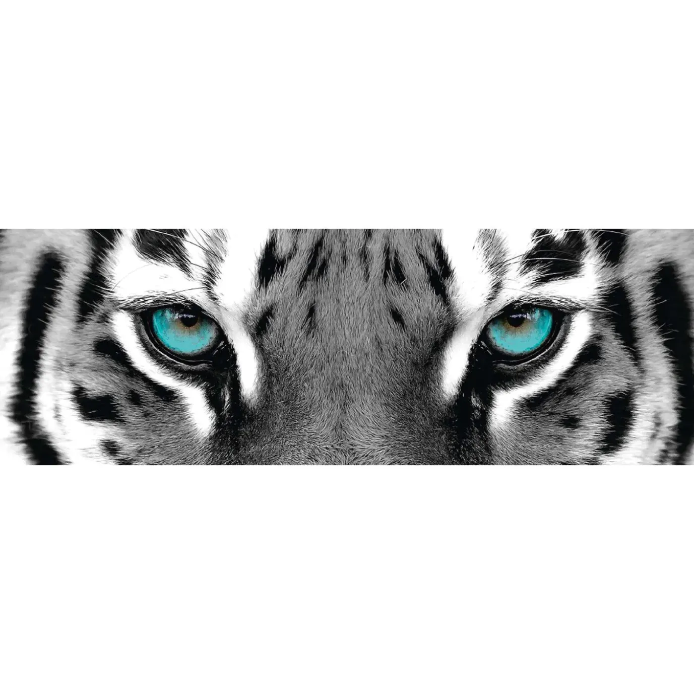 Jumboposter Blue Tiger Eyes, Nr. 16