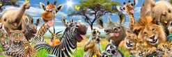 Jumboposter Wildlife Funnies, Nr. 28