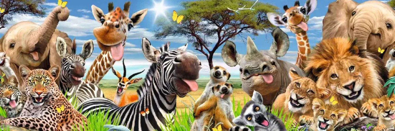 Jumboposter Wildlife Funnies, Nr. 28