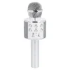 Karaoke Mikrofon, Silber, 23 Cm