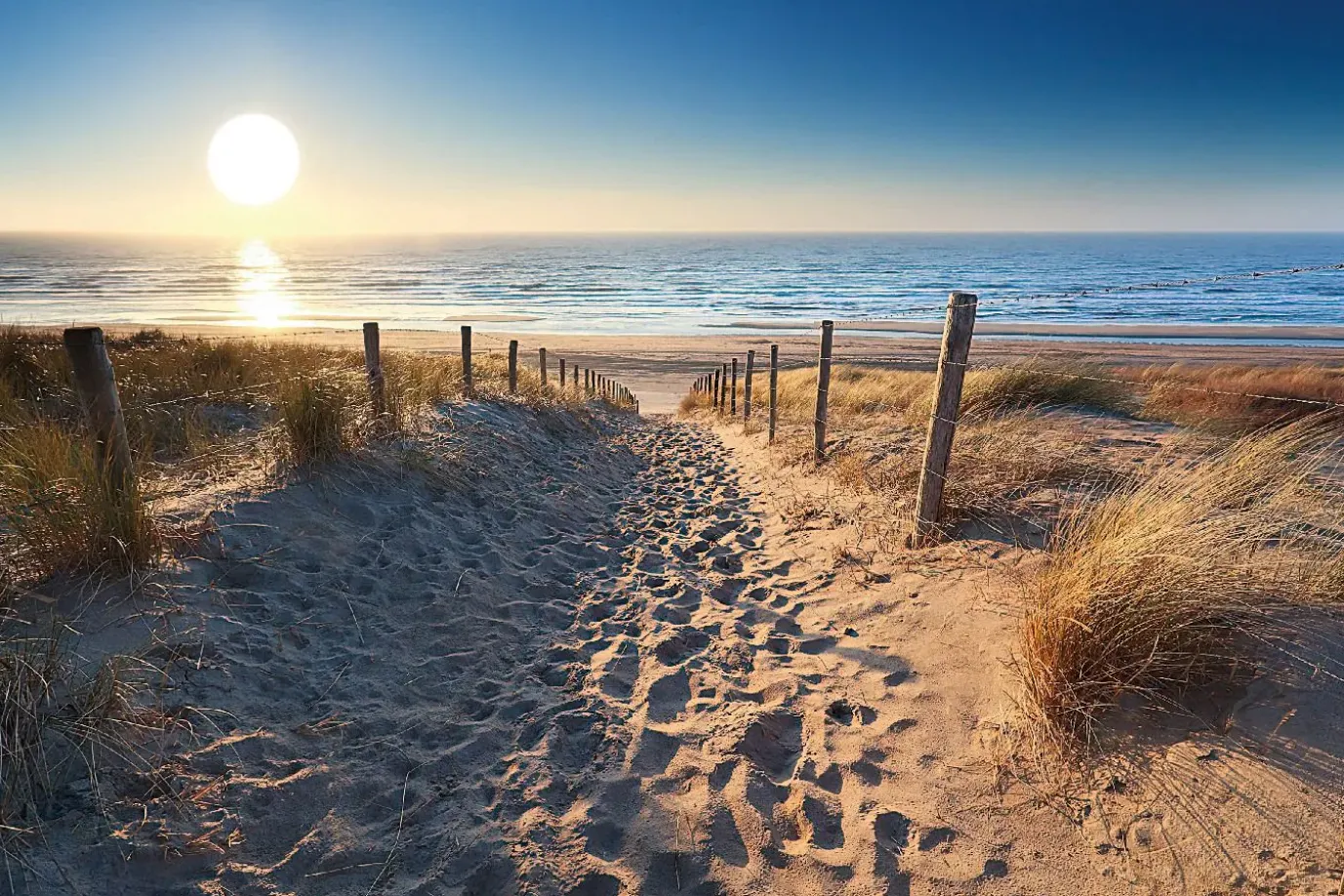 Poster Dune Path, Nr. 88