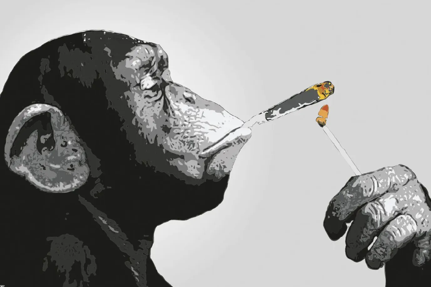 Poster Monkey Joint Time, Nr. 226