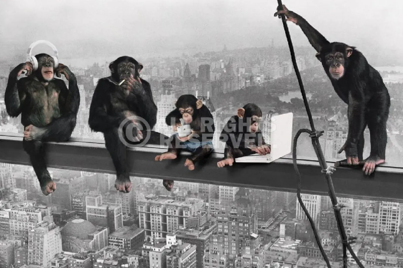 Poster The Chimp - Girder, Nr. 166