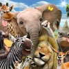Poster Tiere Wildlife, Nr. 141