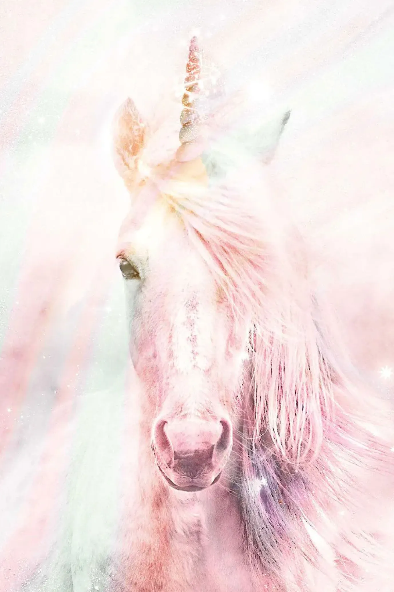 Poster Unicorn Fluffy, Nr. 144