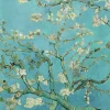 Poster Van Gogh Amandelbloesem, Nr. 71