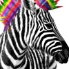 Poster Zebra Punk, Nr. 238