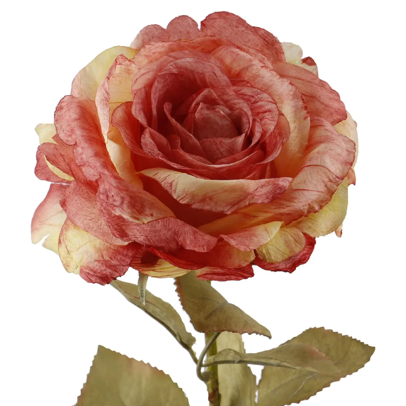 Rose Theresa, Orange, 63 Cm